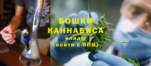 первитин Гусев