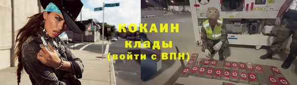 первитин Гусев