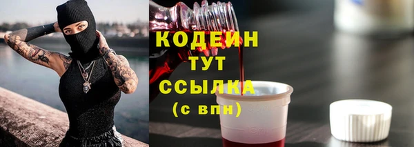 первитин Гусев