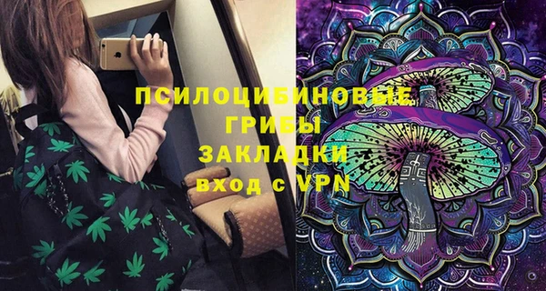 первитин Гусев