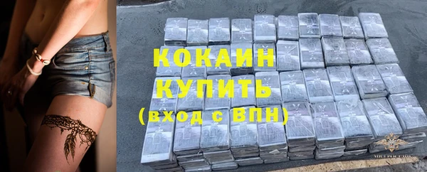 первитин Гусев